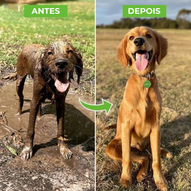 Jato para Banho de Cães Petjet