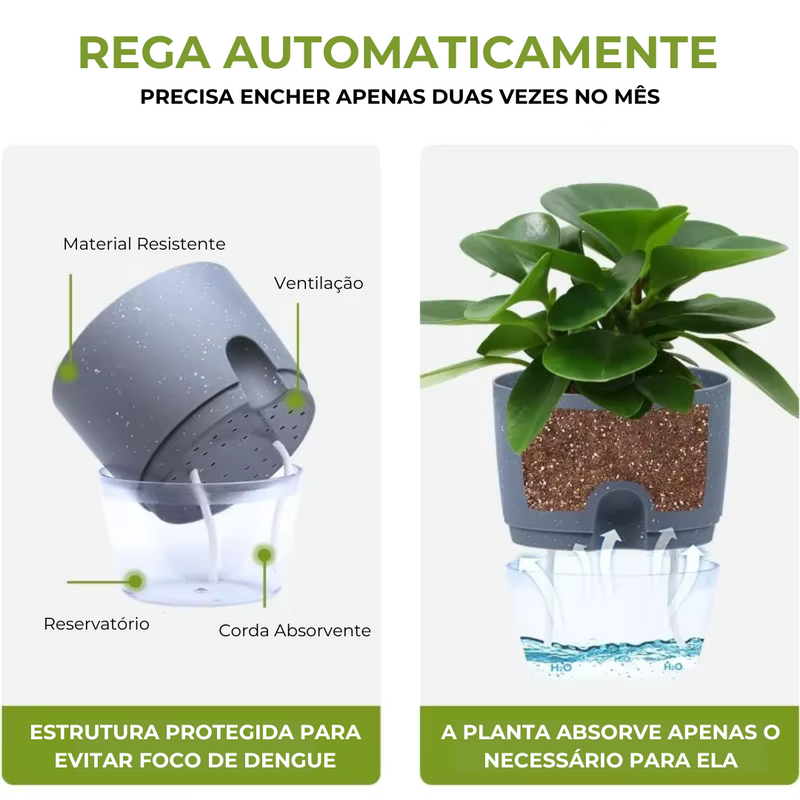 Vaso de Plantas Autosuficiente [COMPRE 1 LEVE 2]