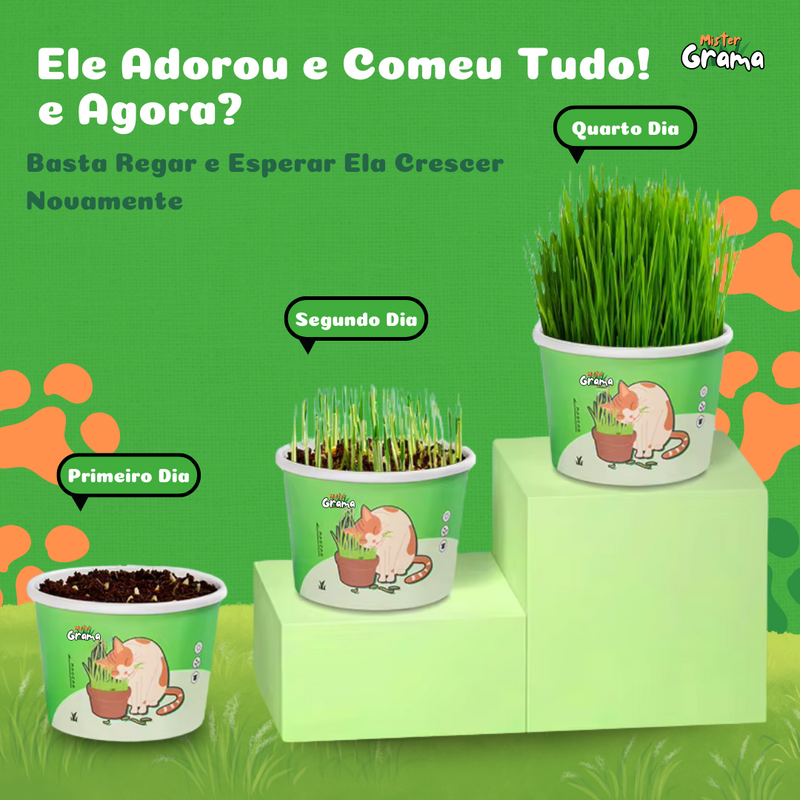 Graminha Para Gatos Mister Grama [COMPRE 1 LEVE 2]
