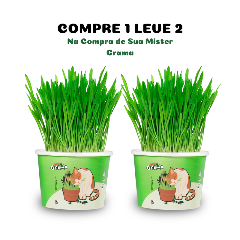 Graminha Para Gatos Mister Grama [COMPRE 1 LEVE 2]