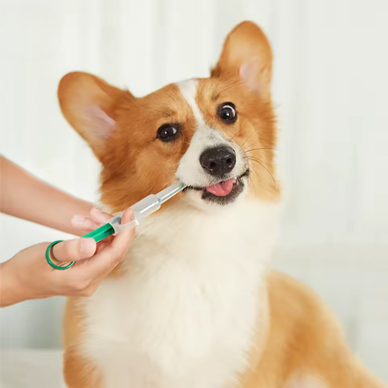 Seringa Para Medicar Animais Domésticos Vety [INDOLOR]